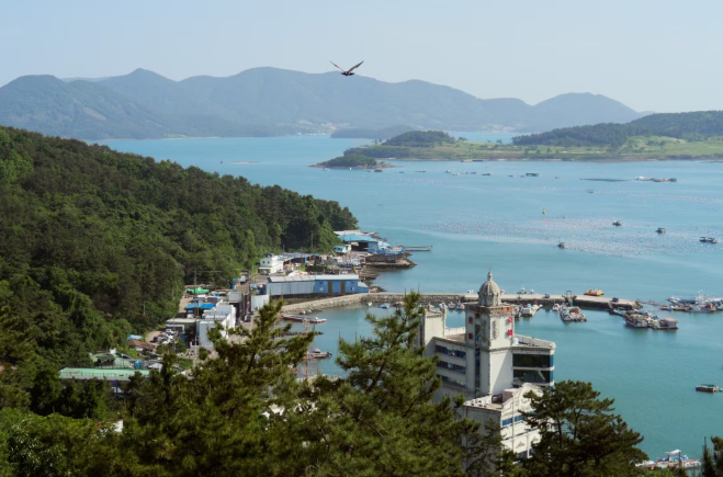 202603091520-5337121060.png image.png