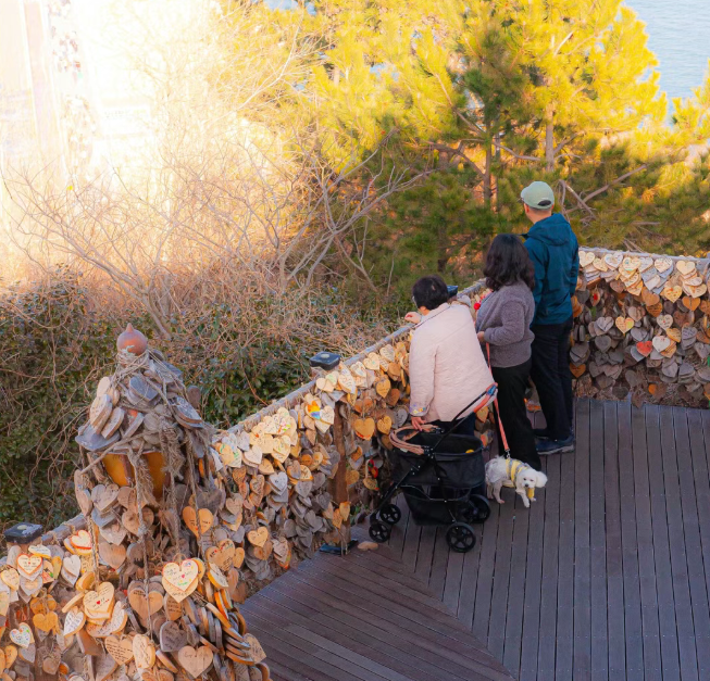 202603091523-4860061976.png image.png