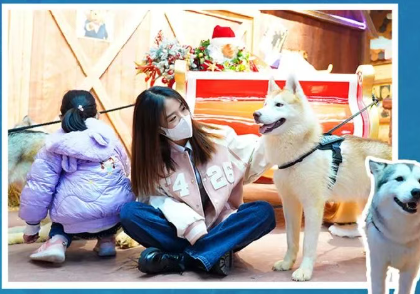 202603160926-4502315321.png image.png