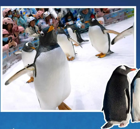 202603160926-8469874861.png image.png