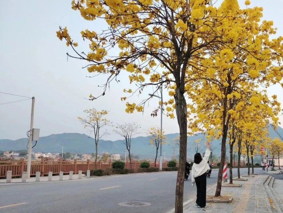 微信图片_2026-03-19_164719_045 (1).jpg