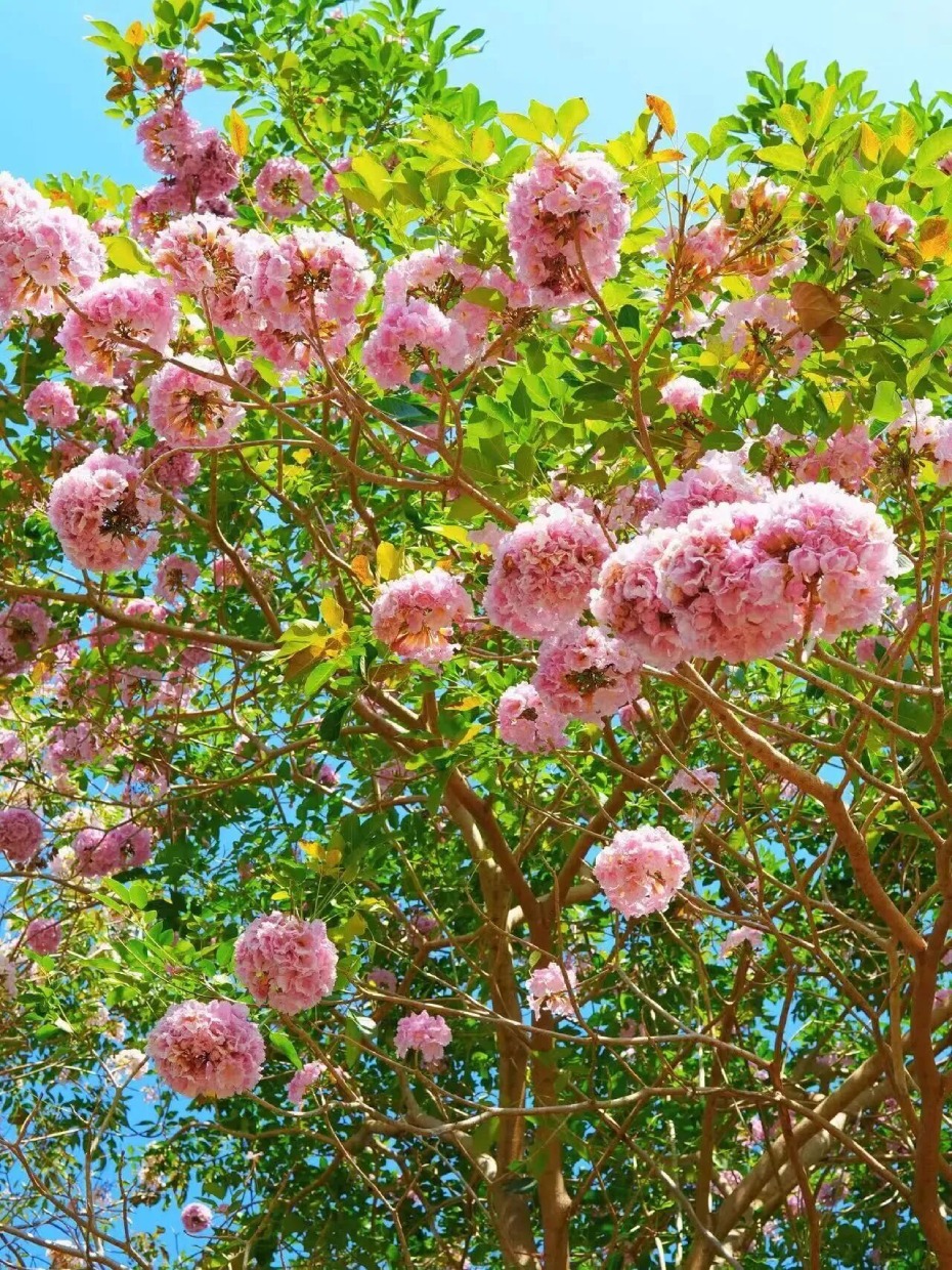 微信图片_2026-03-19_170322_646 (1).jpg