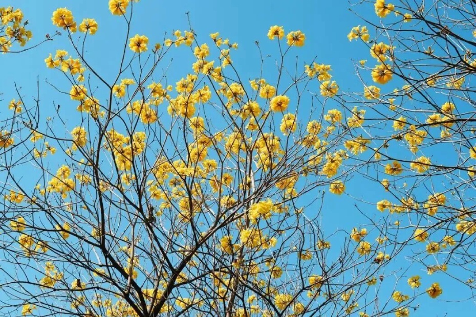 微信图片_2026-03-19_170314_646 (1).jpg