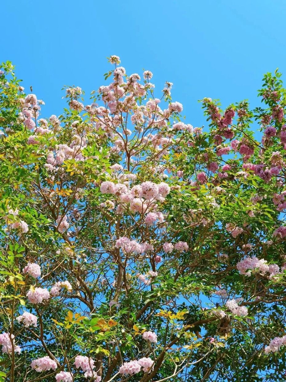 微信图片_2026-03-19_170327_750 (1).jpg