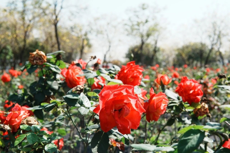 微信图片_2026-03-19_170412_046 (1).jpg