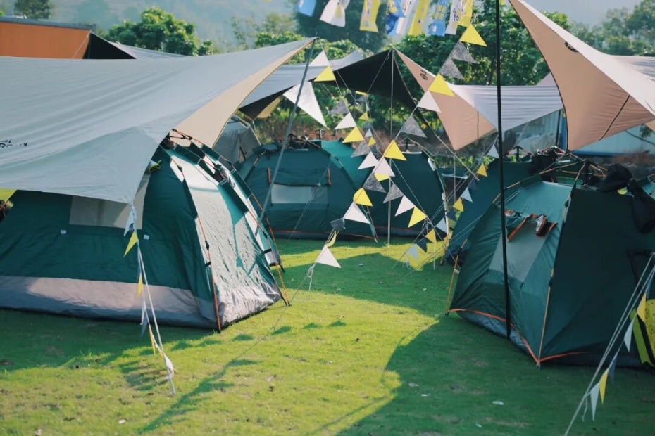 微信图片_2026-03-19_172252_556 (1).jpg