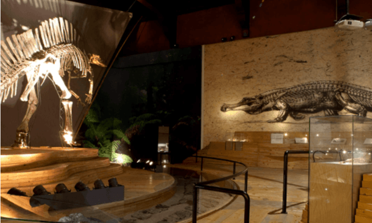 202603201130-7598667041.png image.png