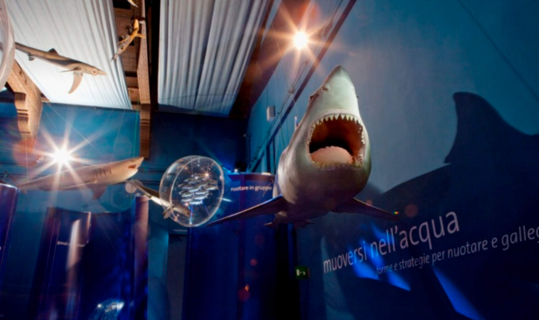 202603201131-3397727443.png image.png