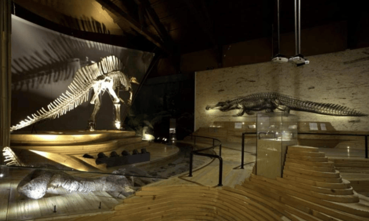 202603201131-6419747743.png image.png