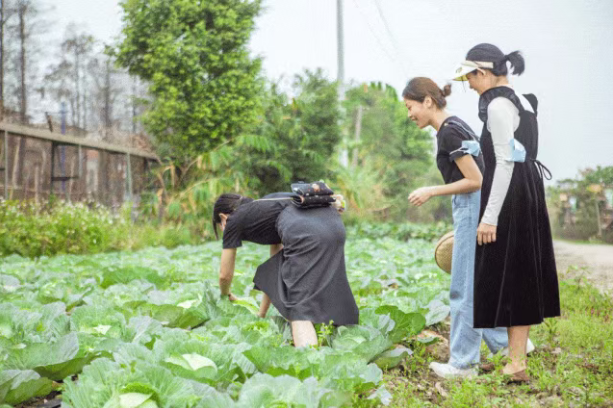 202603201415-1440067672.png image.png