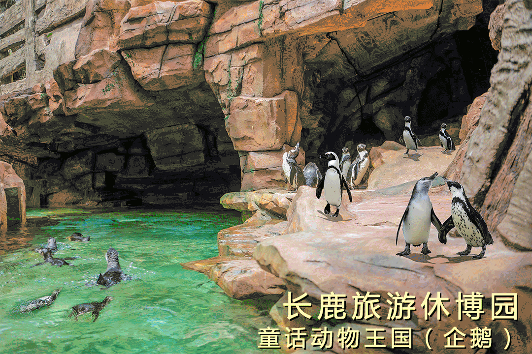 202603201426-3611569056.jpg 微信图片_2026-03-20_142622_876.jpg