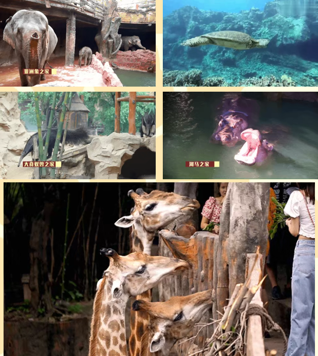 202603201426-3858160443.png image.png