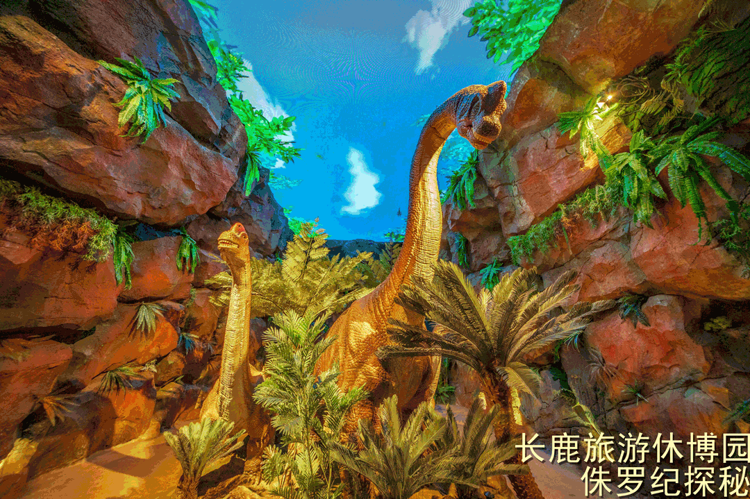 202603201426-6996902171.jpg 23.jpg