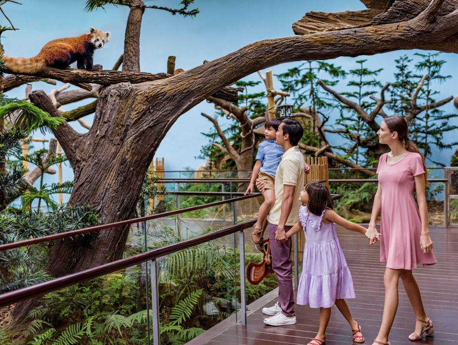 202603201552-2700208365.jpg 0104n120009xar50x219C.jpg