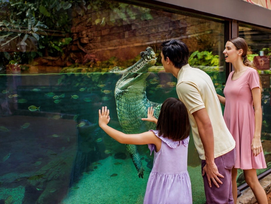 202603201600-8879161949.jpg 01060120009xarcsr18A0.jpg