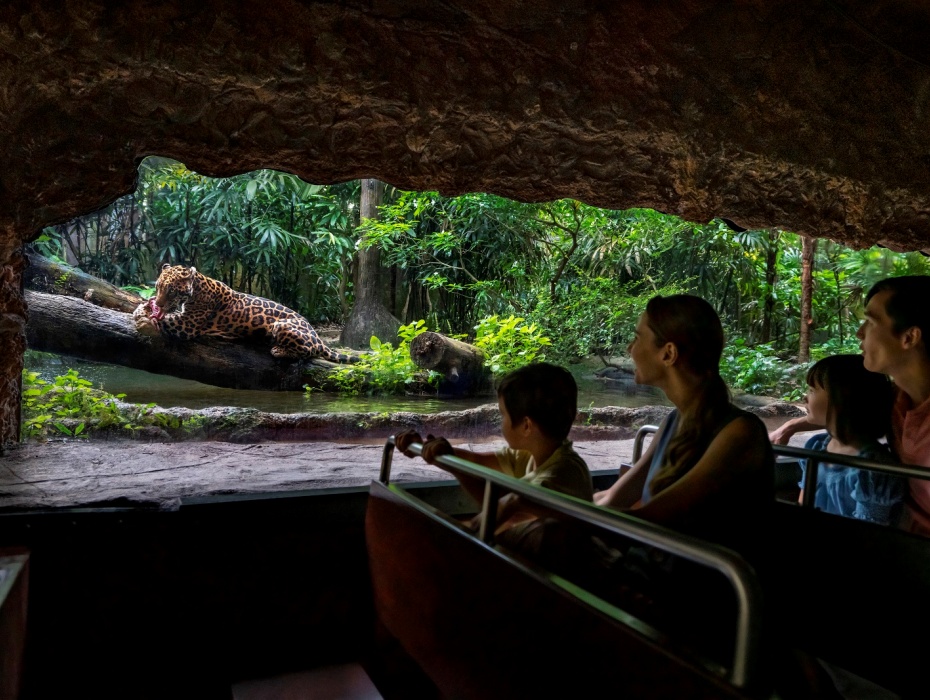 202603201616-7528588652.jpg 0105y120009xar9h2AE8C.jpg