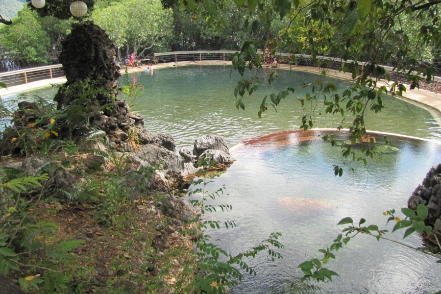 202603201730-7351166039.jpg undefined (50).jpg