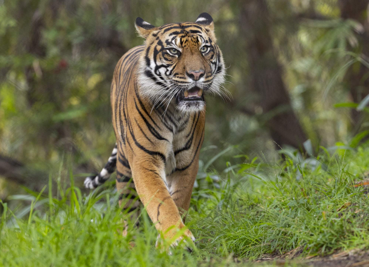 202603230944-4368781915.png image.png