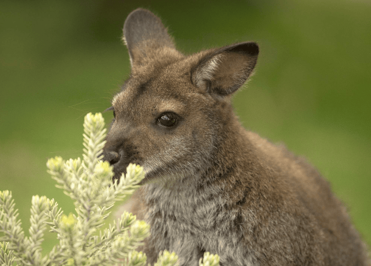 202603230944-6334382988.png image.png