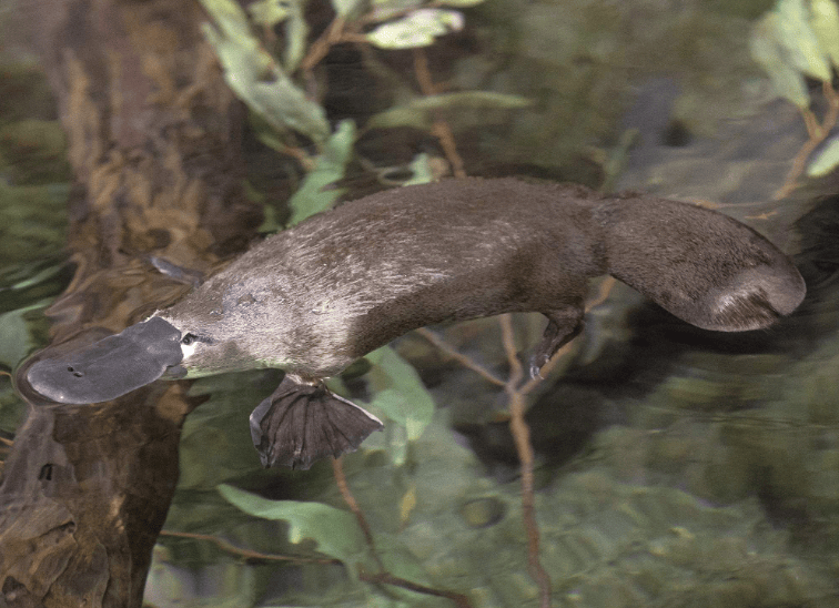 202603230944-7159744577.png image.png