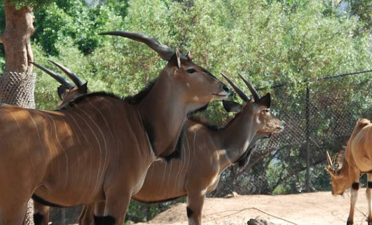 202603230945-3408060100.png image.png