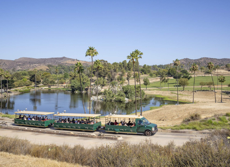 202603230945-6699737719.png image.png