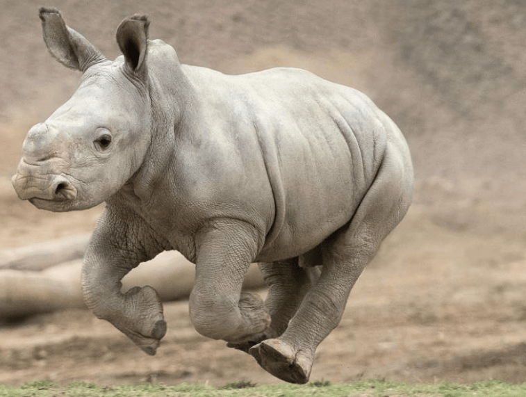 202603230945-8407615709.png image.png