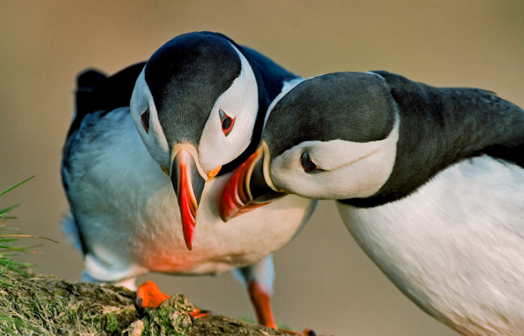 202603231035-3360396174.png image.png