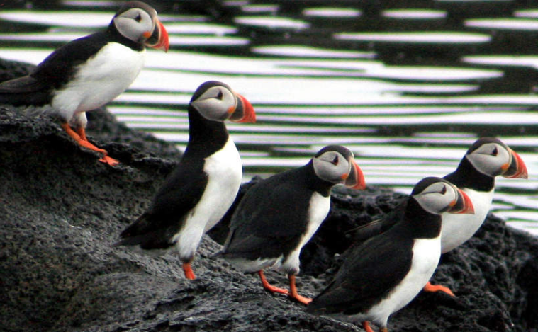 202603231035-9402078717.png image.png