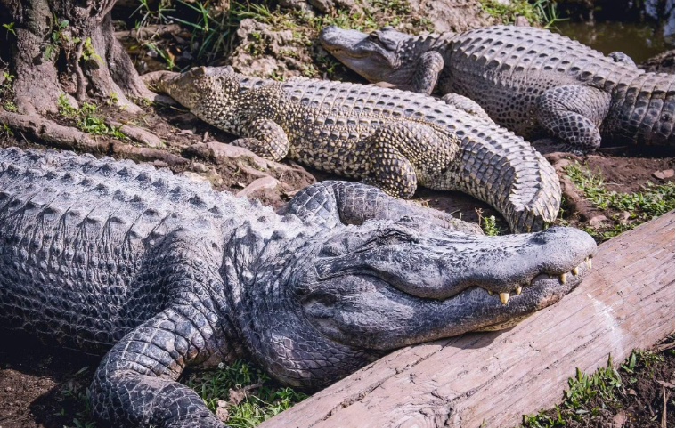 202603231139-6114564995.png image.png