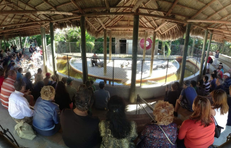 202603231139-6731795529.png image.png