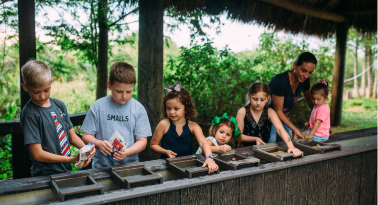 202603231145-1567127399.png image.png