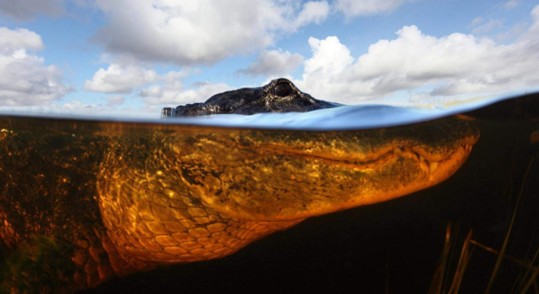 202603231145-9636887922.png image.png