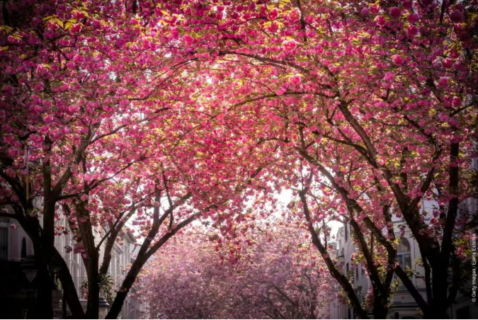 202603231410-9151027409.png image.png