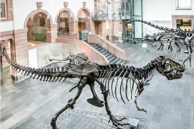 202603231413-5708032050.png image.png