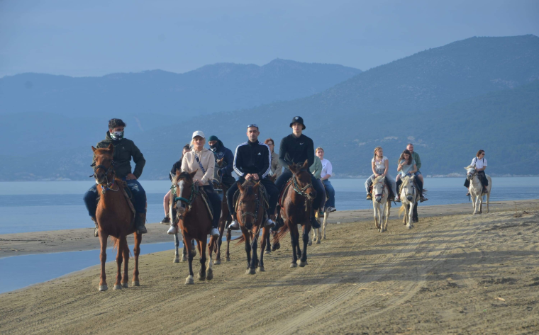 屏幕截图 2026-03-23 142238.png