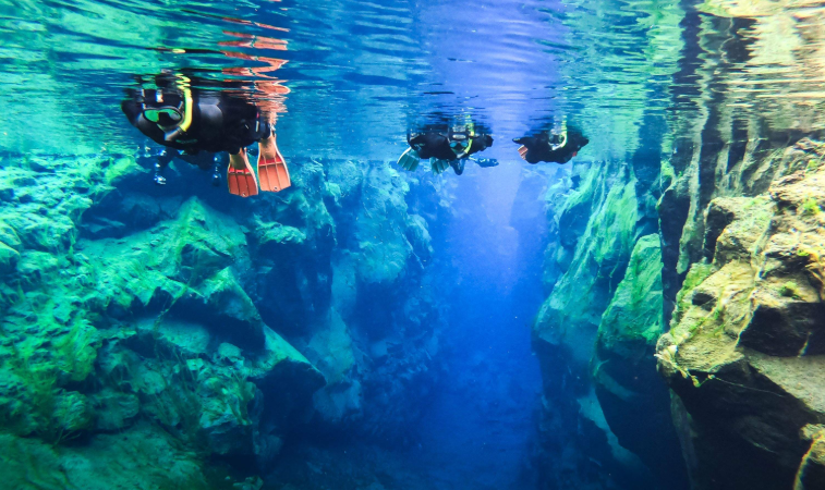 202603240923-3133625662.png image.png