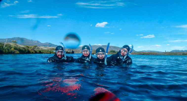 202603240925-4231167316.png image.png