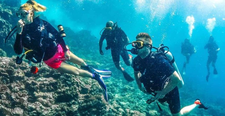 202603241017-1905224730.png image.png