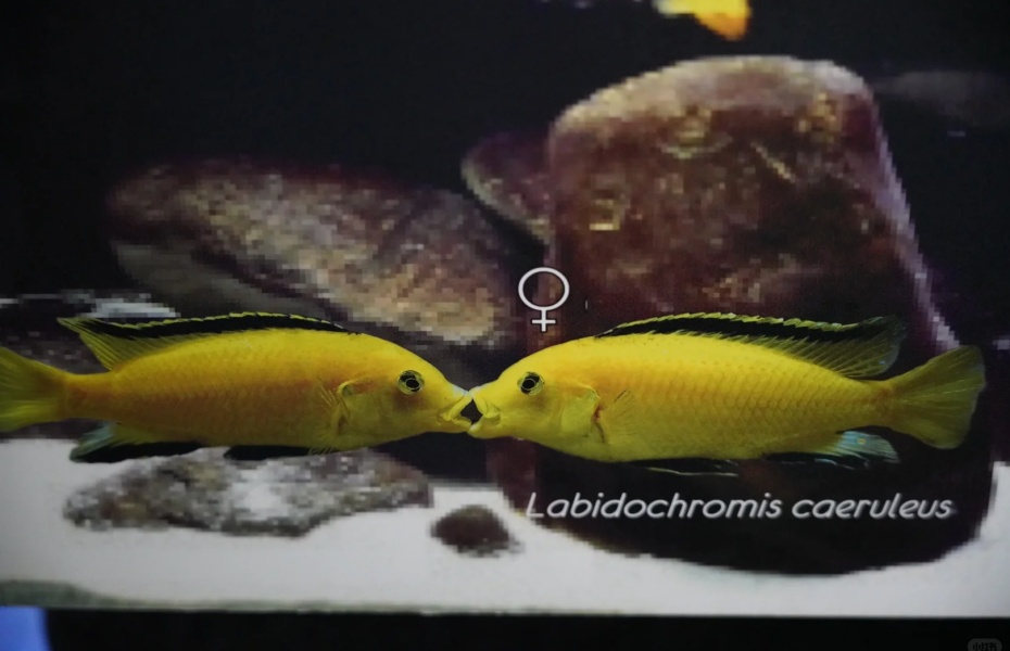 企业微信截图_17743180843539 - 副本.jpg