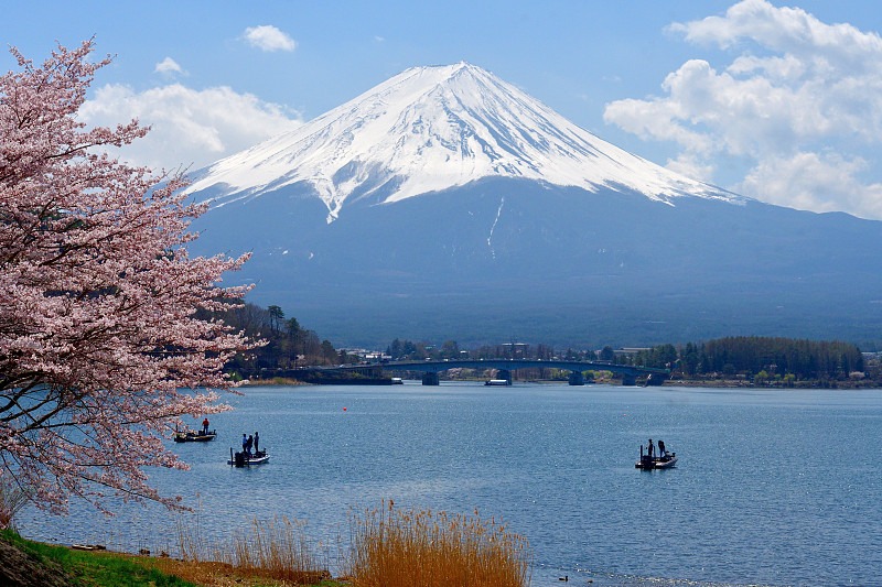 202603241731-7643839406.jpeg 202603241731-7643839406.jpeg