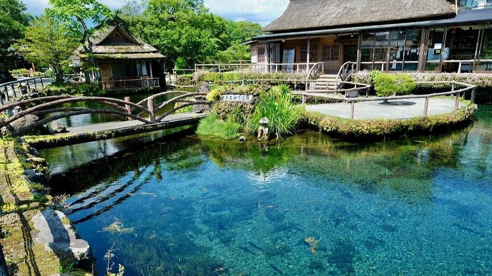 202603241732-8116953859.jpeg 202603241732-8116953859.jpeg