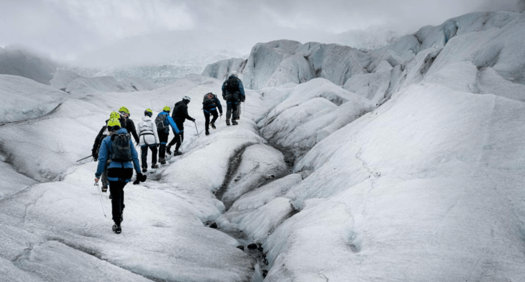 202603251122-1230954416.png image.png