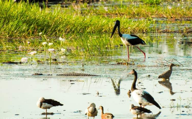 202603251125-2461833027.png 屏幕截图 2026-03-25 112210.png