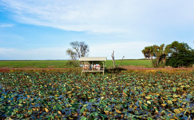 202603251125-4302949106.png 屏幕截图 2026-03-25 112131.png