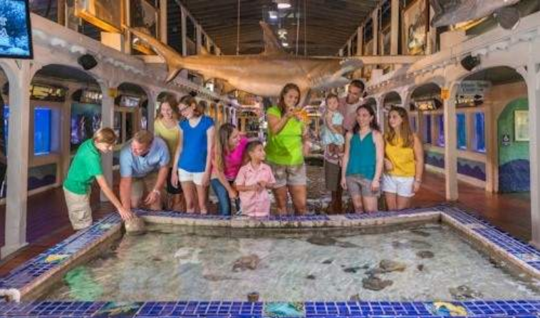 202603261411-6033655976.png image.png