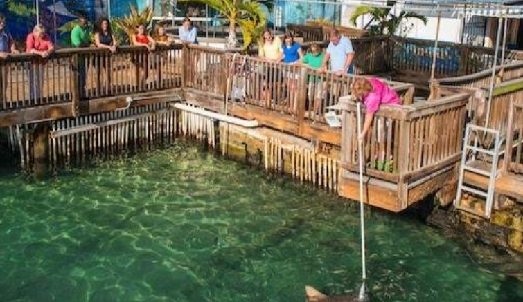 202603261411-8888921065.png image.png