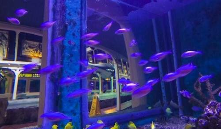 202603261412-3235235978.png image.png