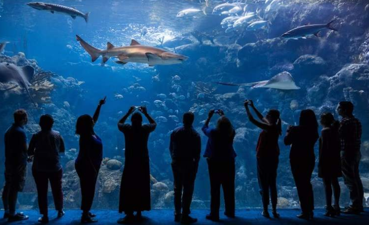 202603261519-2262462360.png image.png