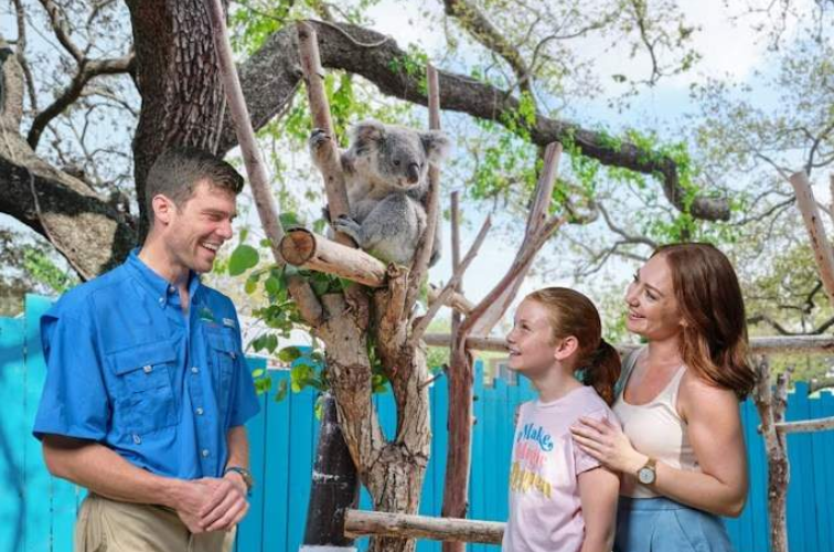 202603261519-5281647661.png image.png